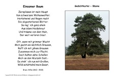 Einsamer-Baum-Wille.pdf